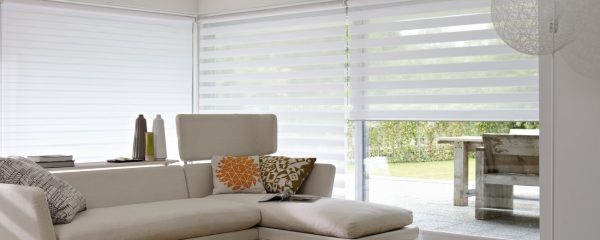 Zebra - Imagen 3